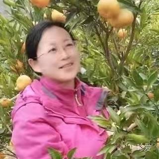 阿蓓
