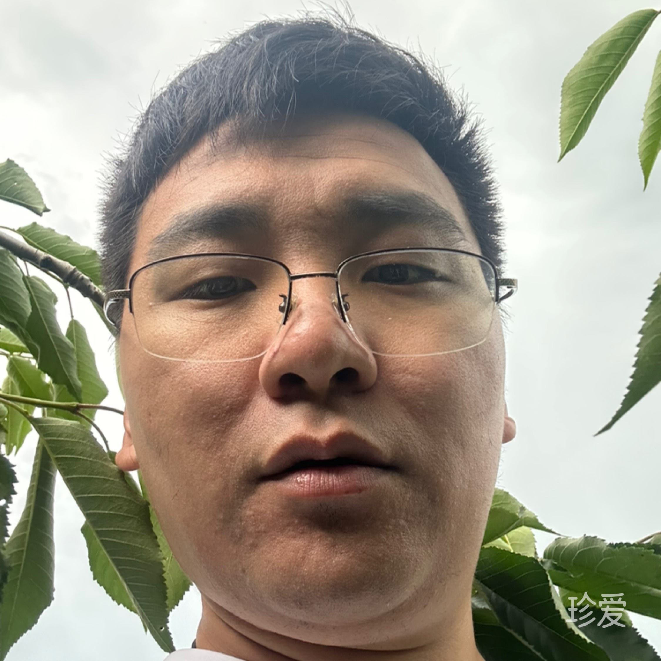 风云在线