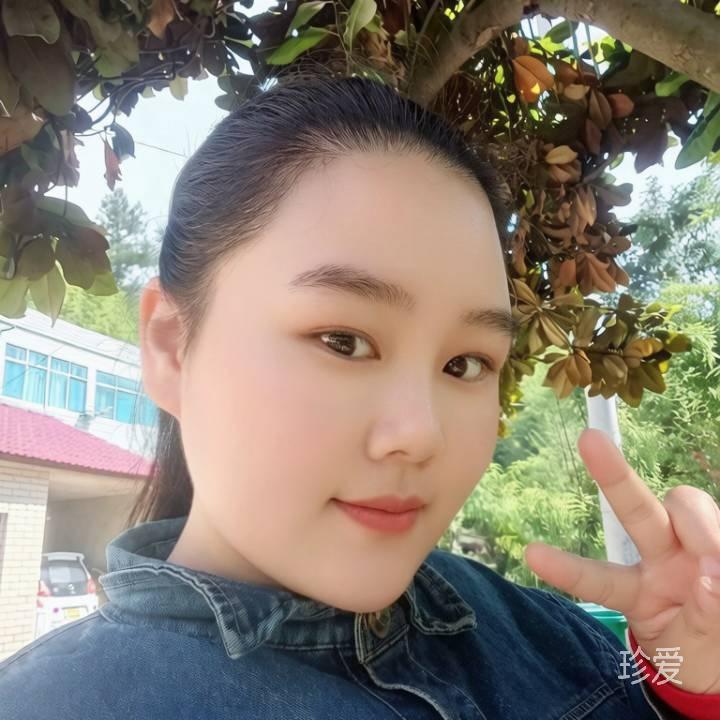 柠檬草叶