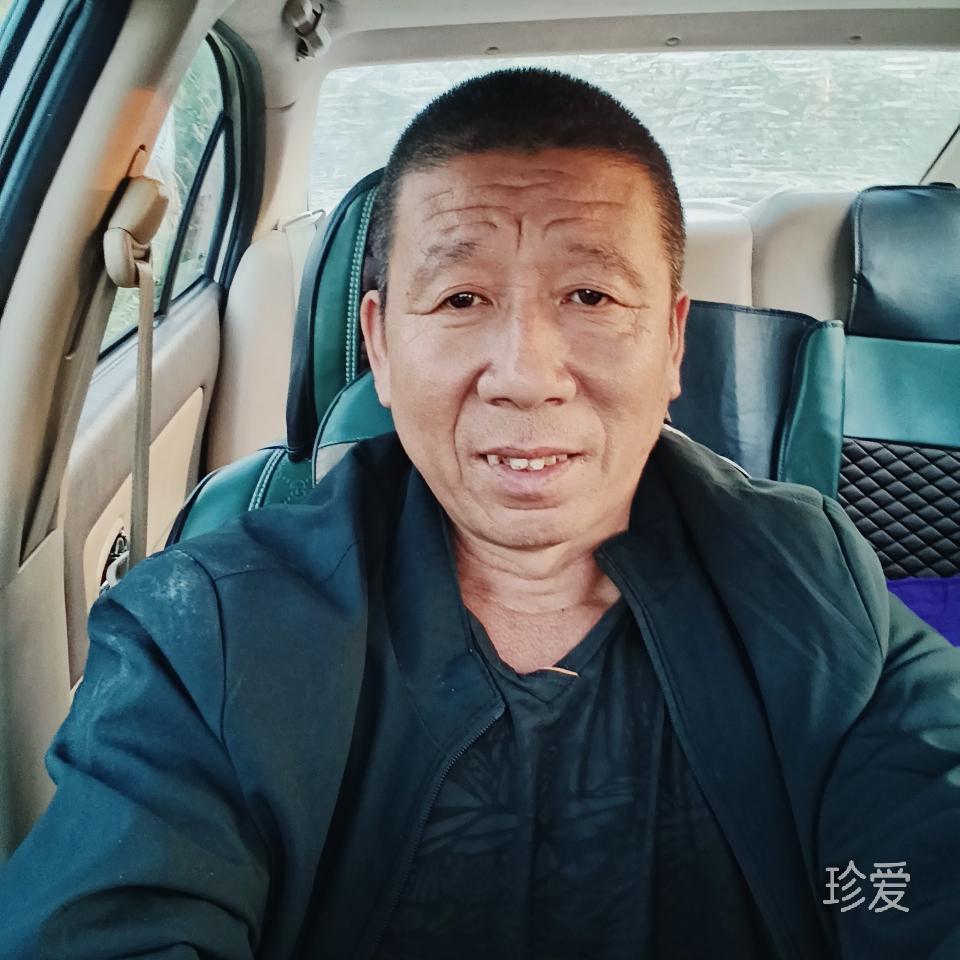 醉自由
