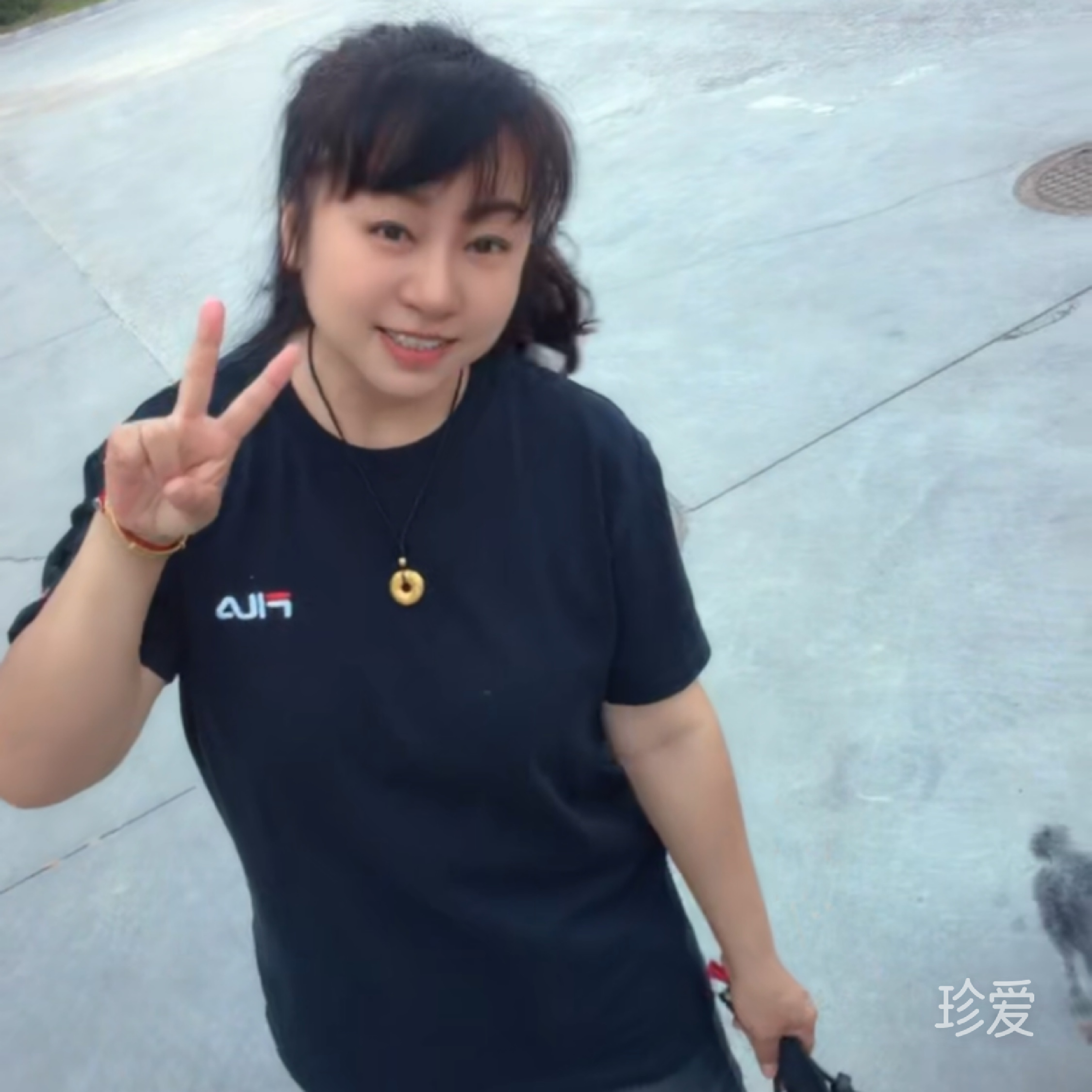惜圆