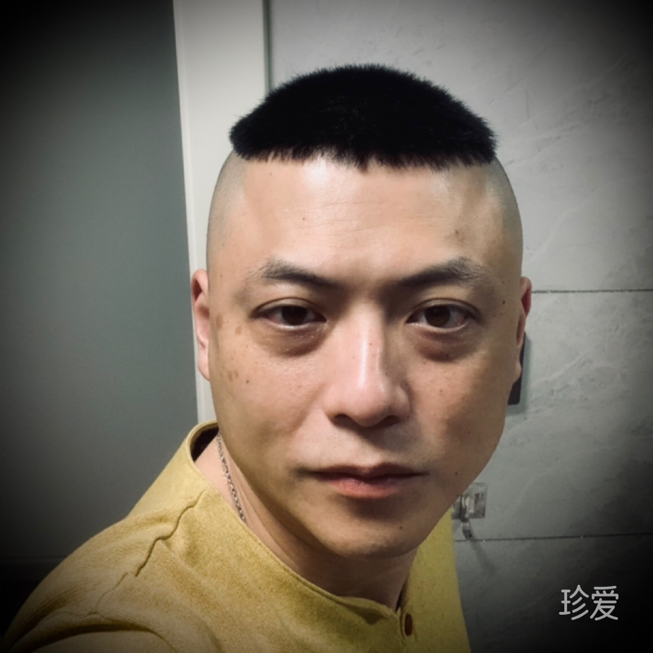 樹(shù)上七個(gè)猴520