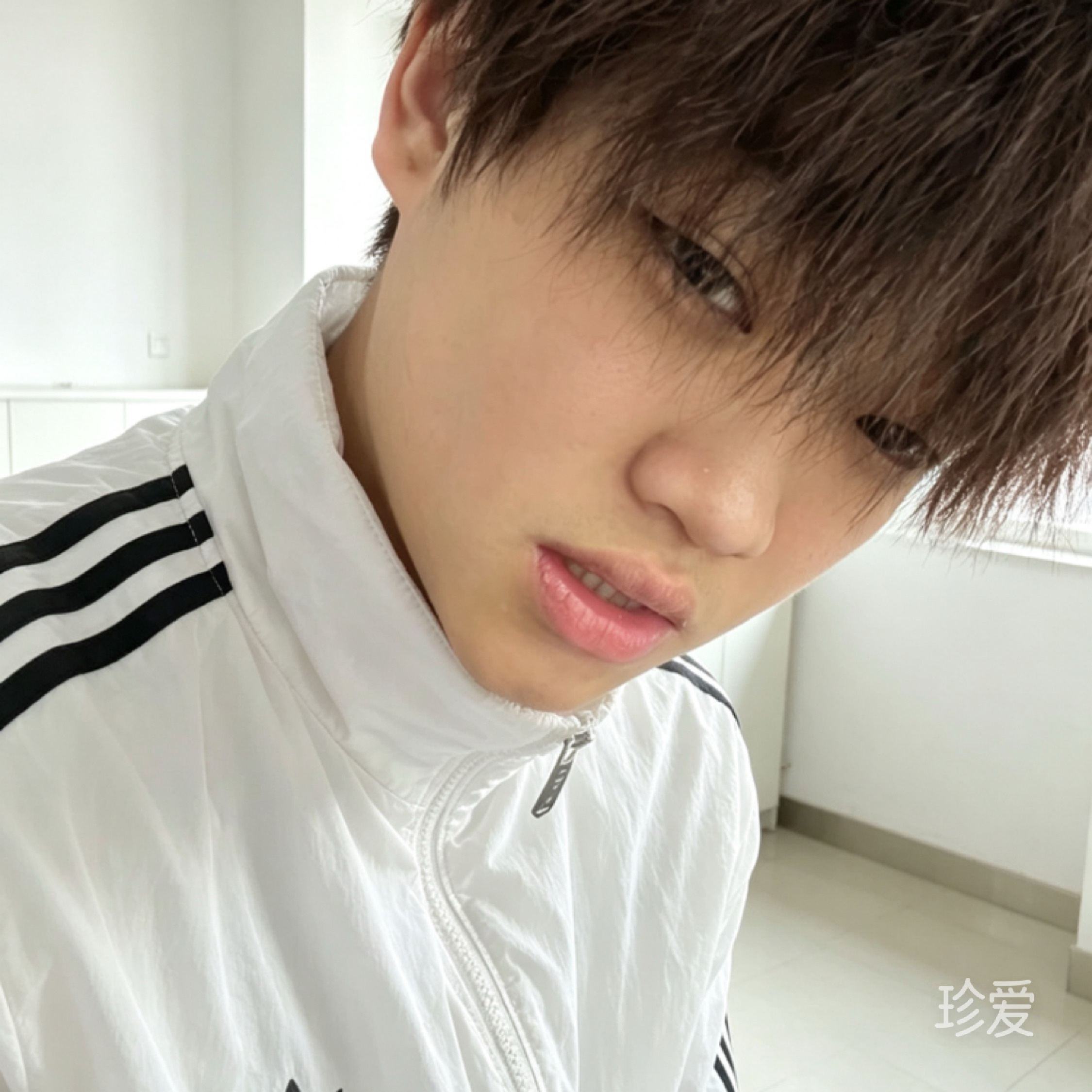 小蒋