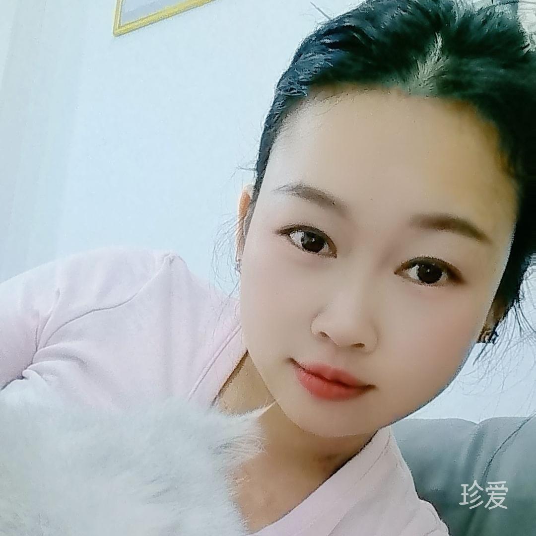 清风鸣蝉