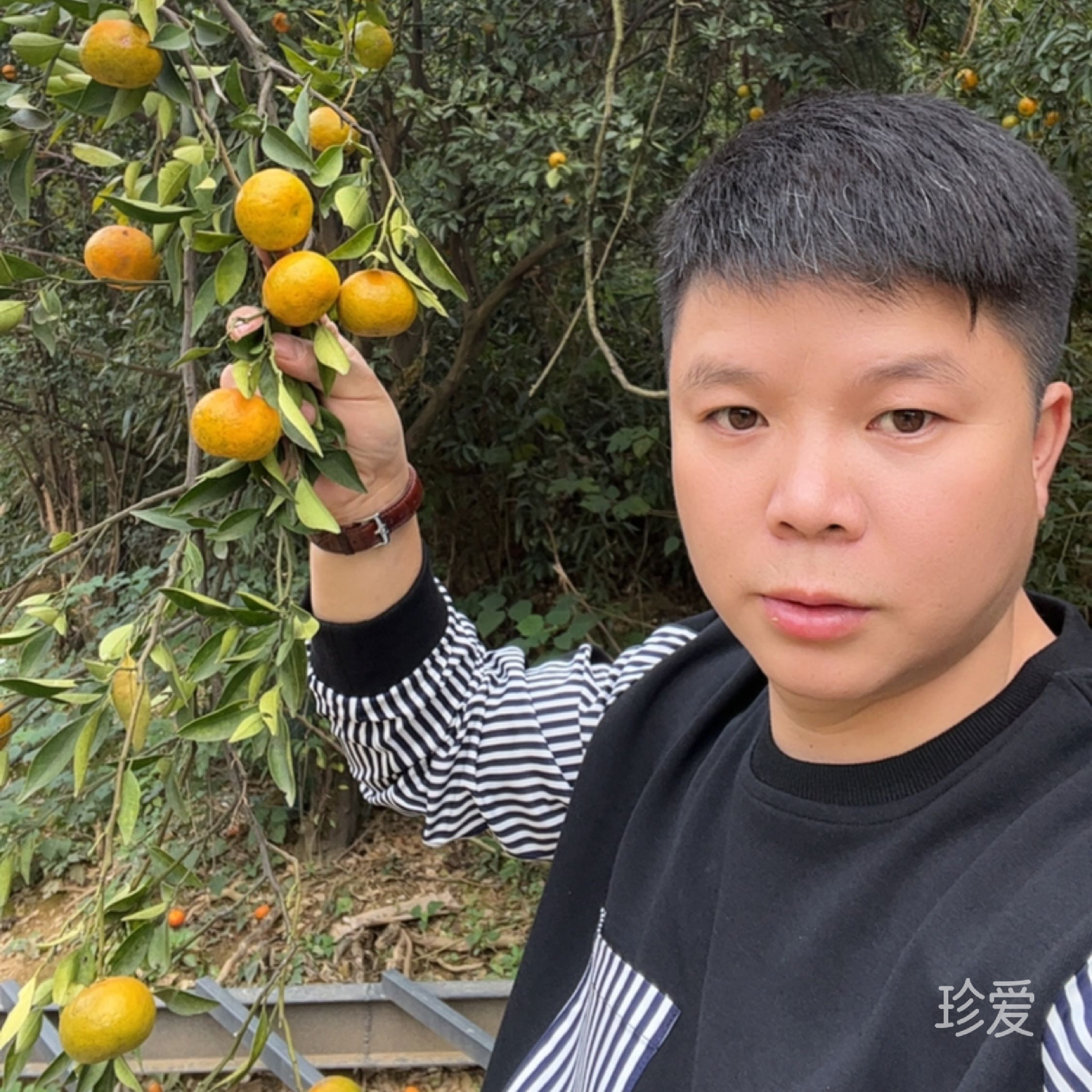 顺其自然