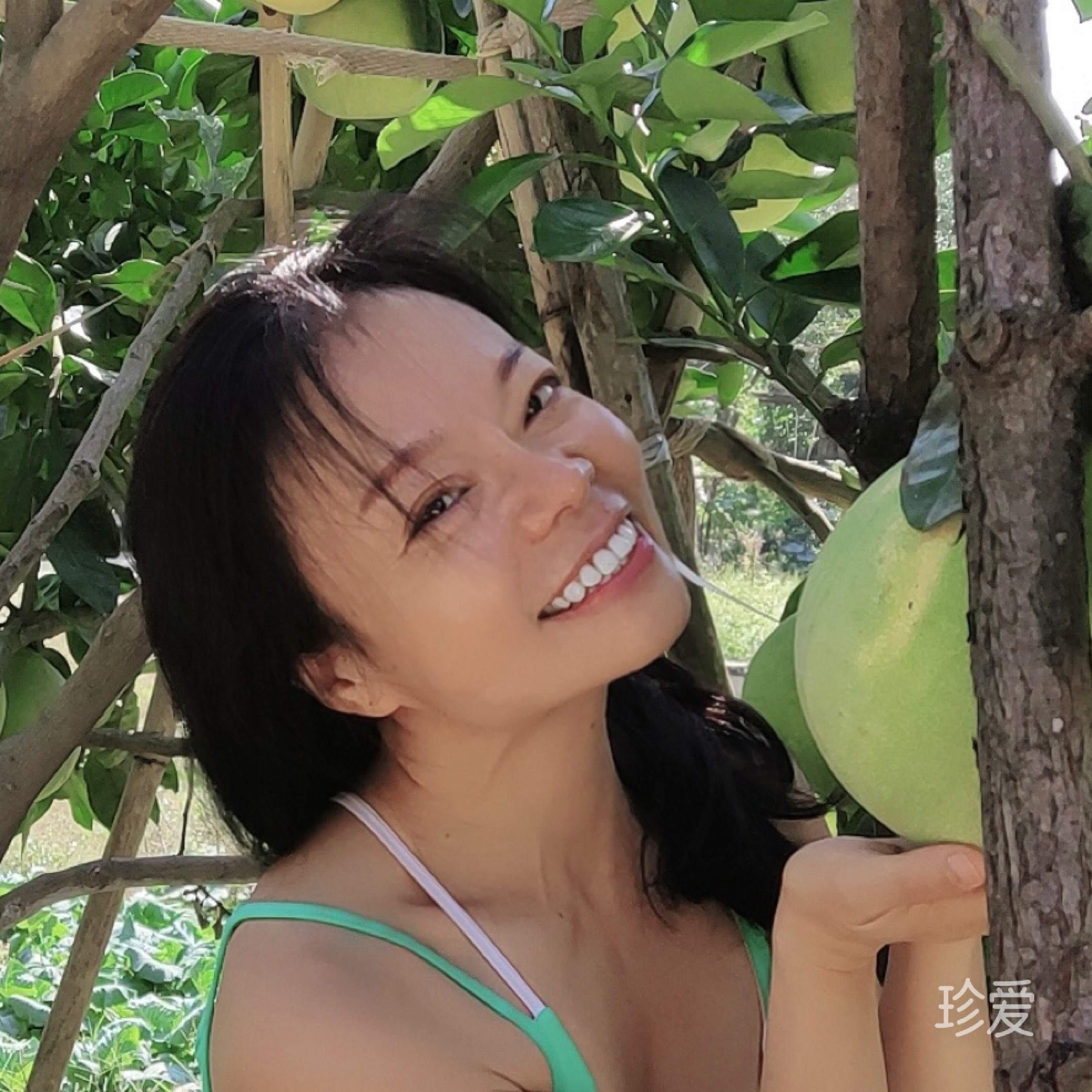 清风拂面花满庭