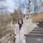 風(fēng)易逝云易散