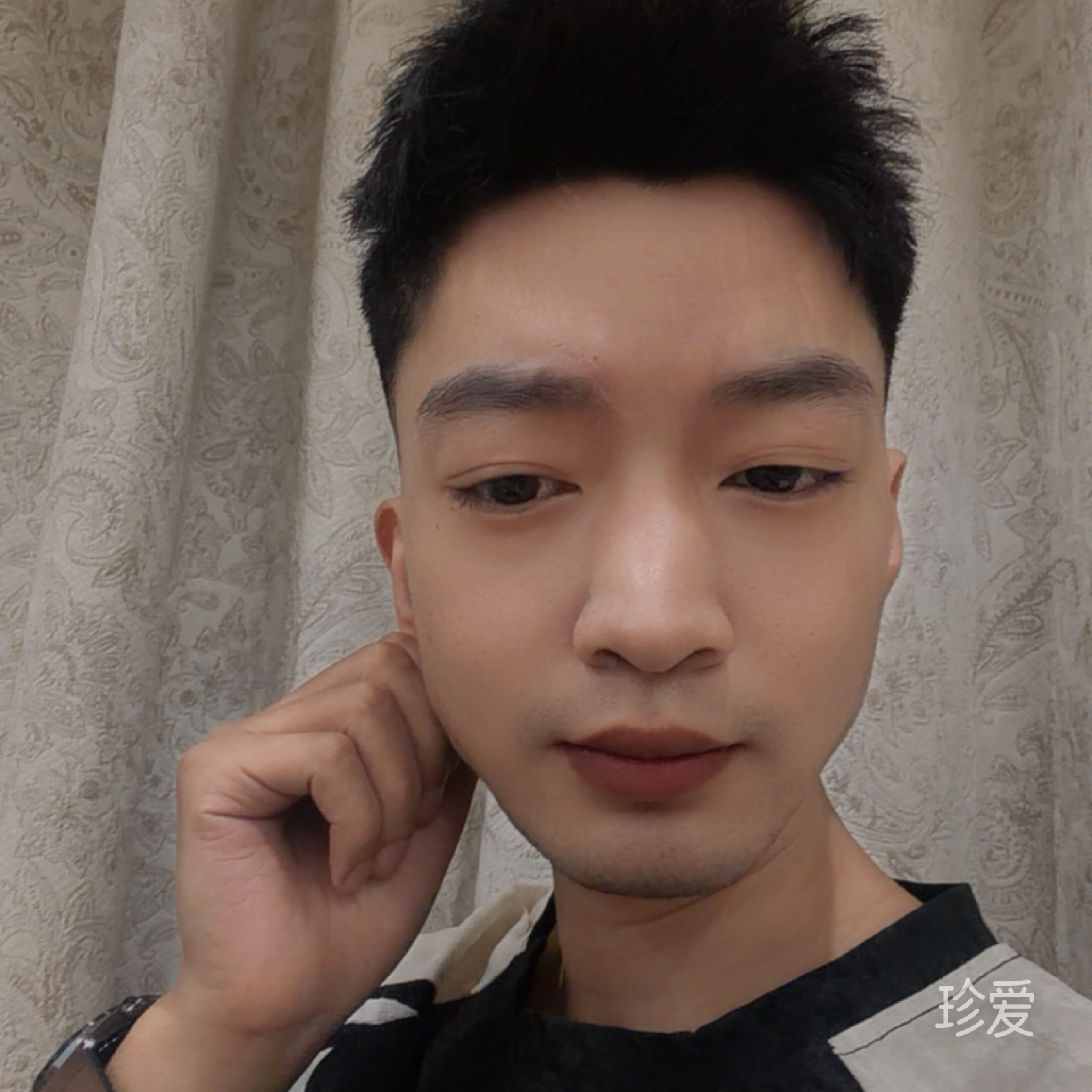 木头鸟
