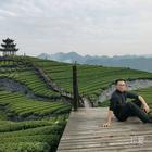 一抹清風(fēng)醉紅塵