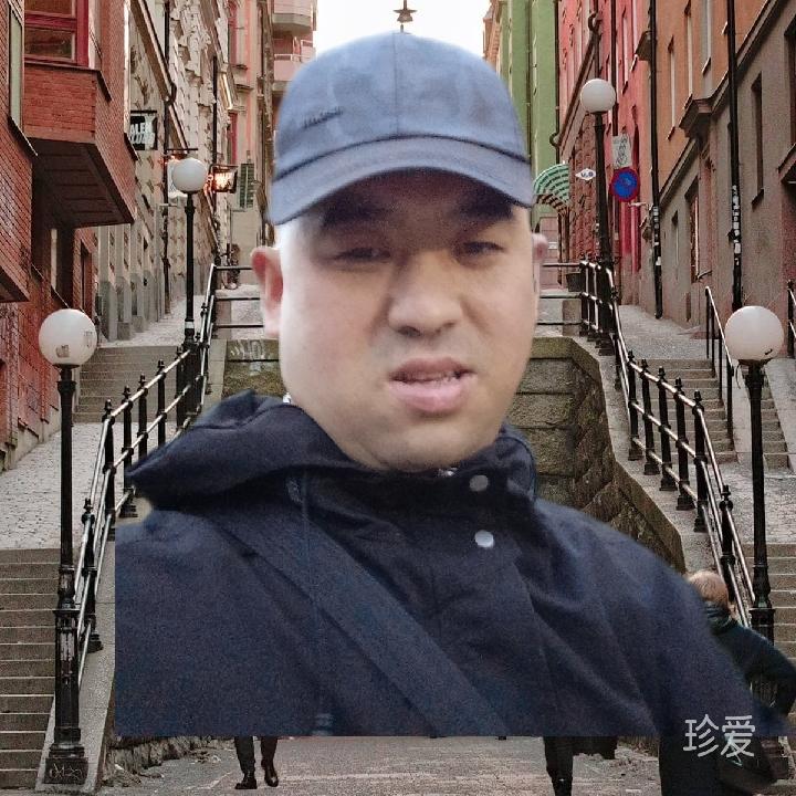 我的她你在哪里