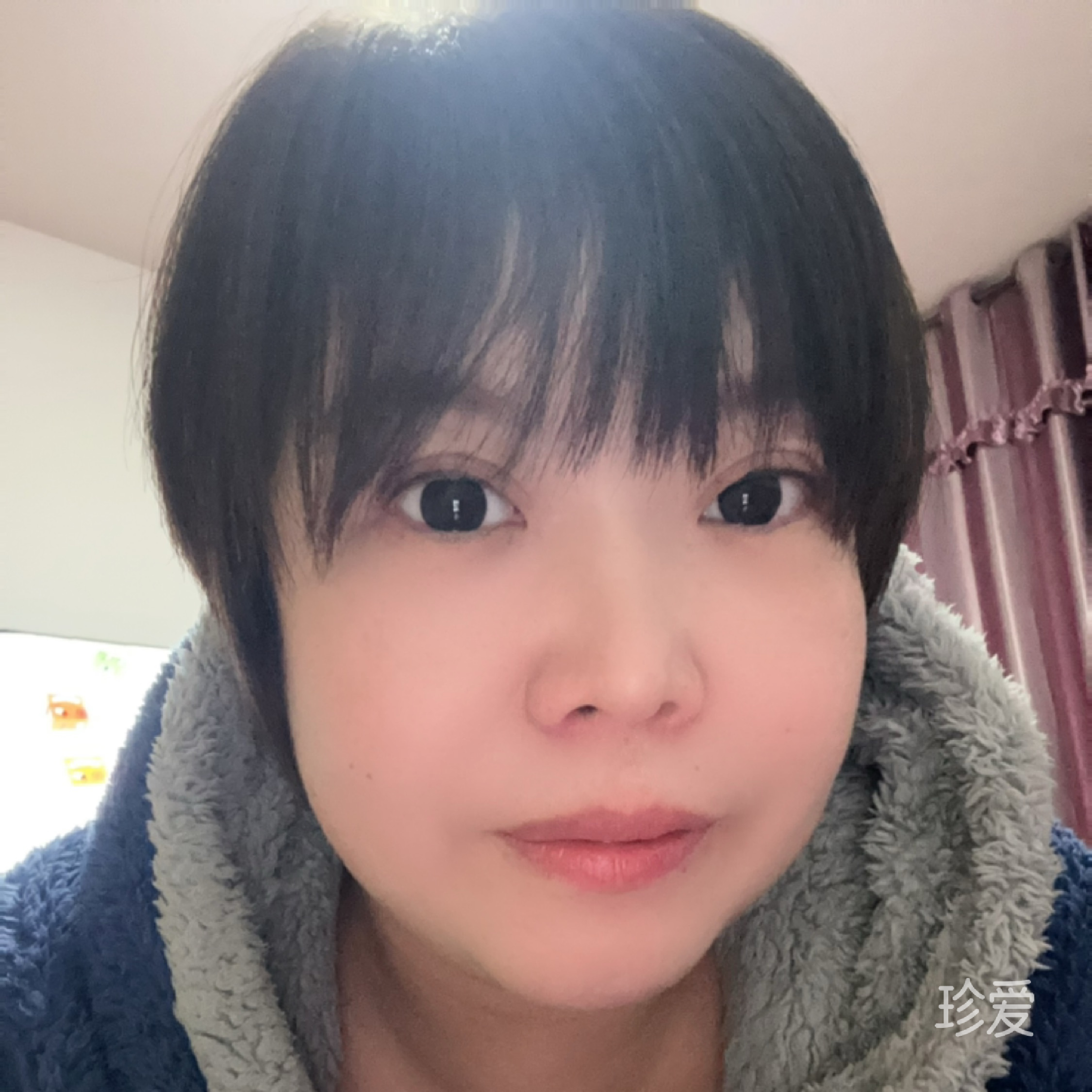 花开淡墨痕