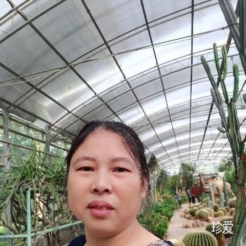 風(fēng)雨中的一棵小草