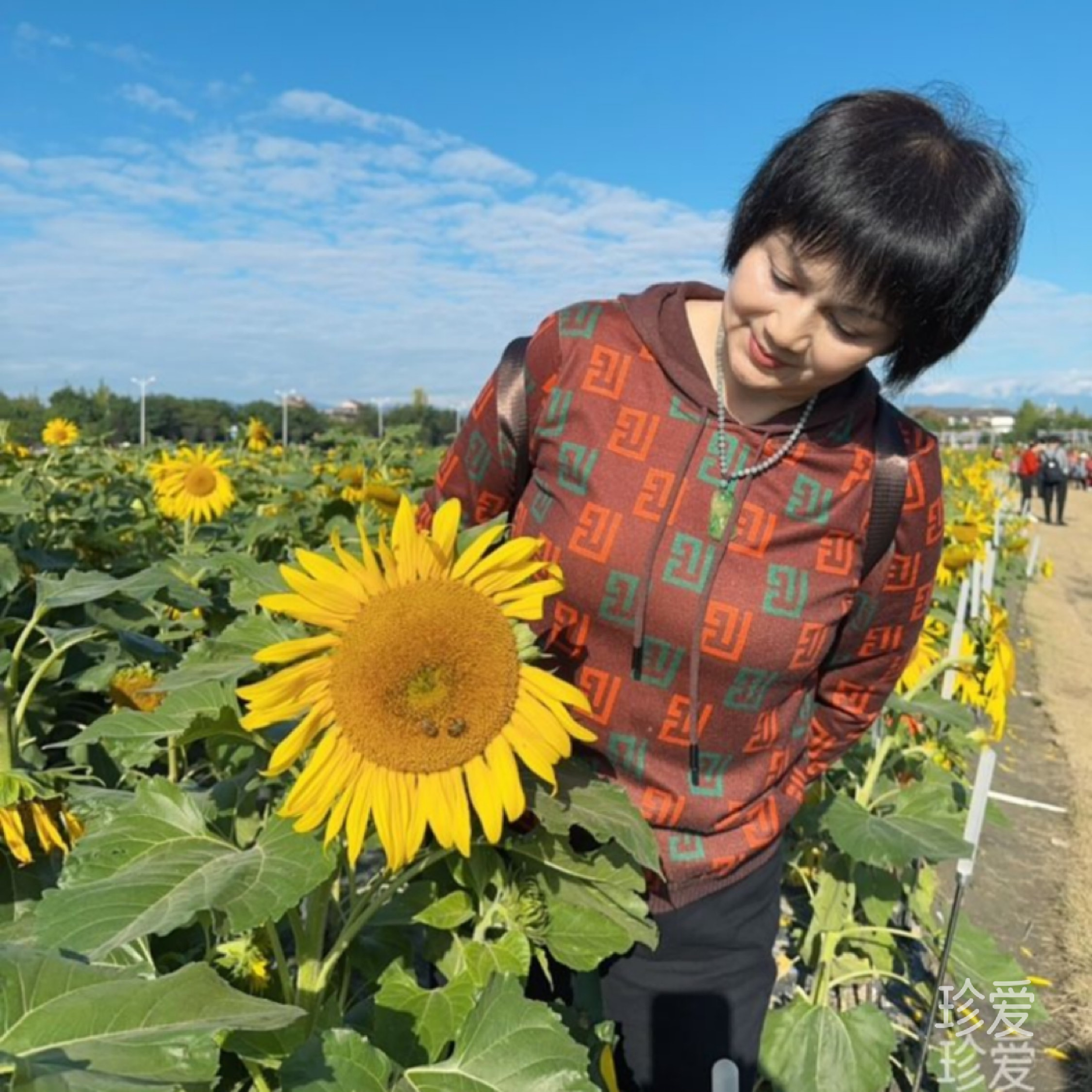 夏夏