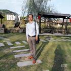 孤獨(dú)的后半生