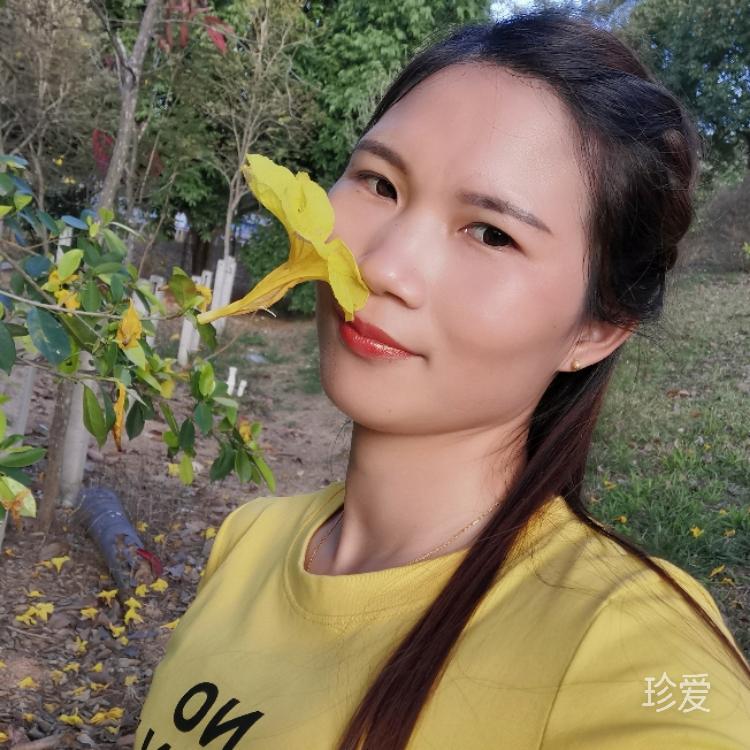 微笑的鱼