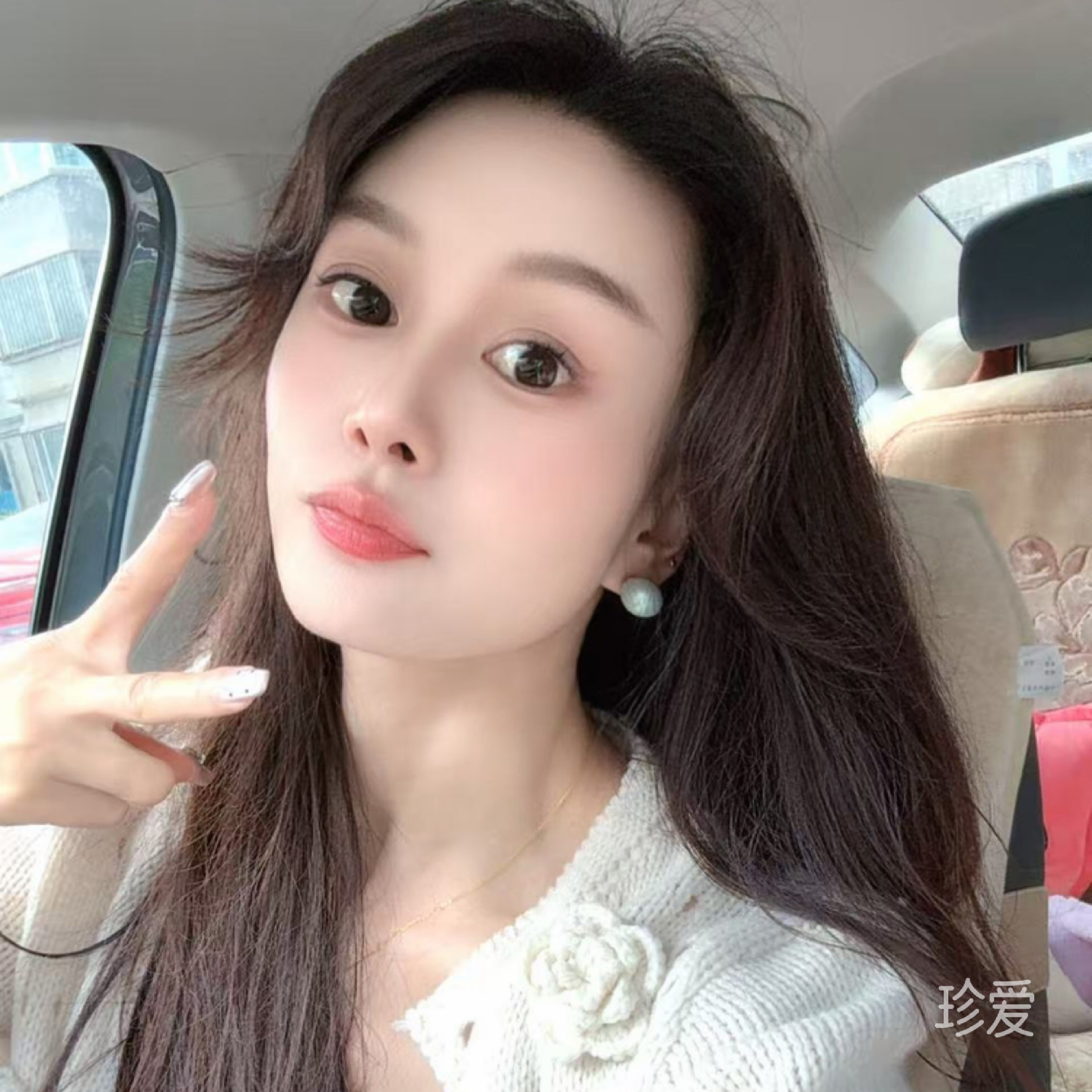 懒猫儿