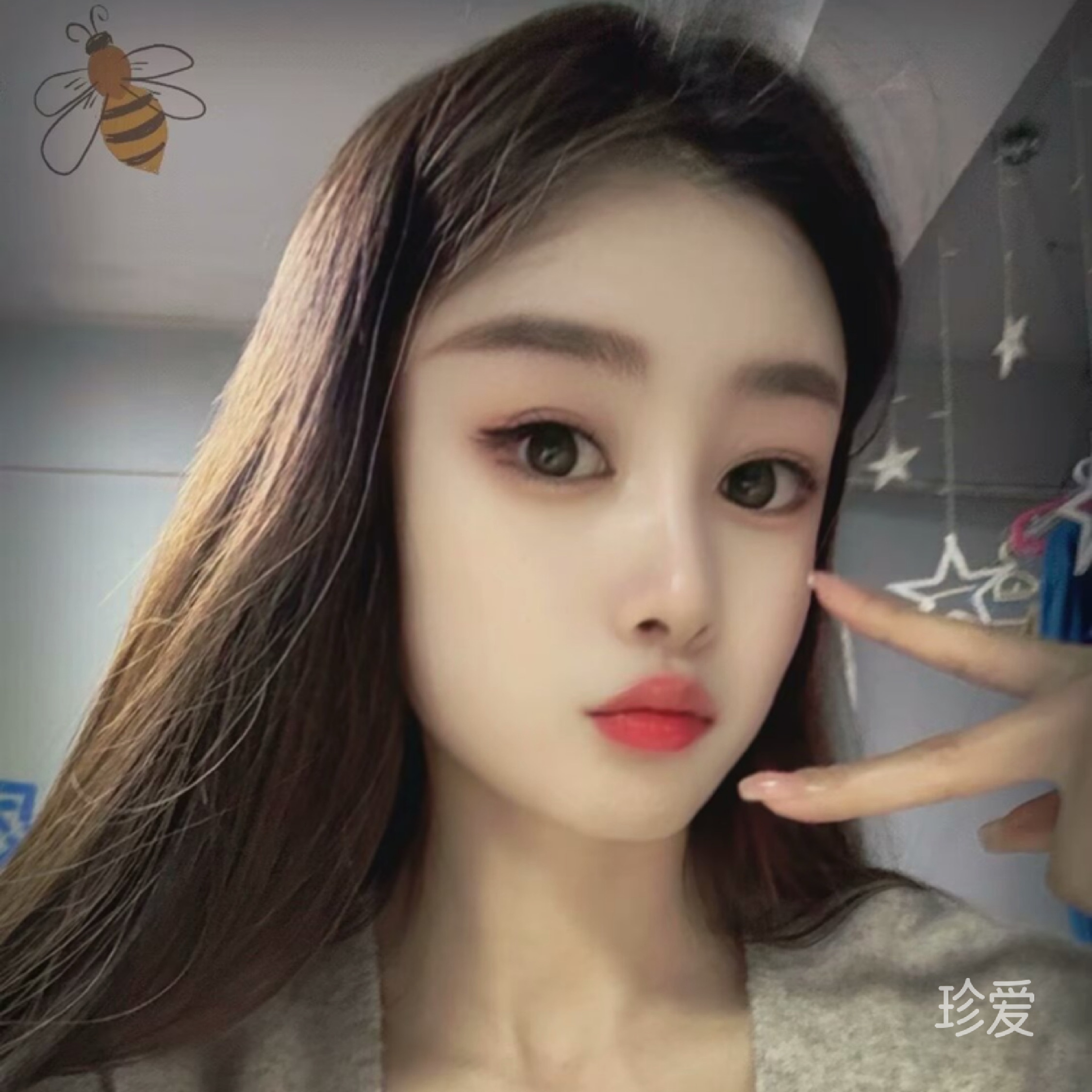 懒猫儿