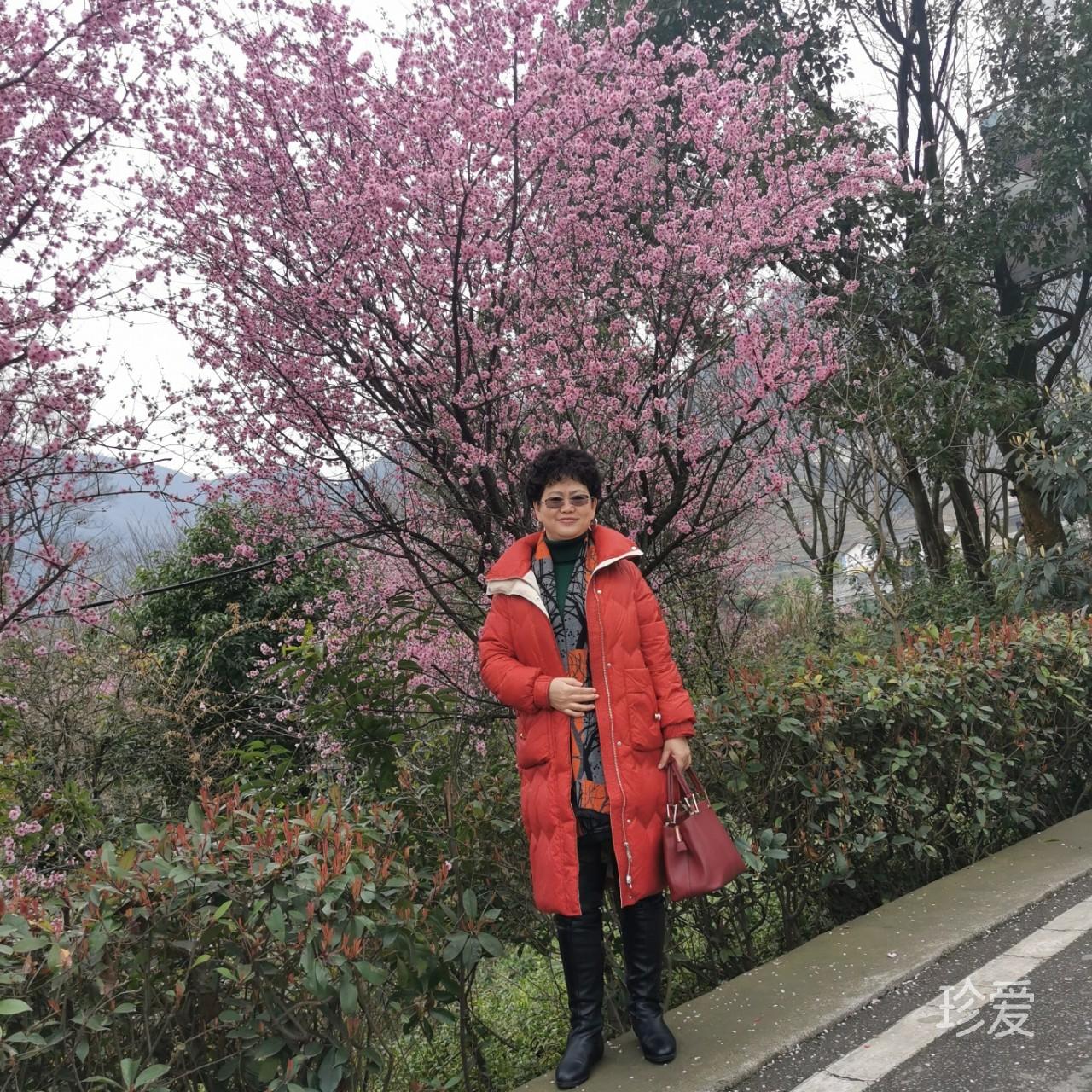 我是一片云