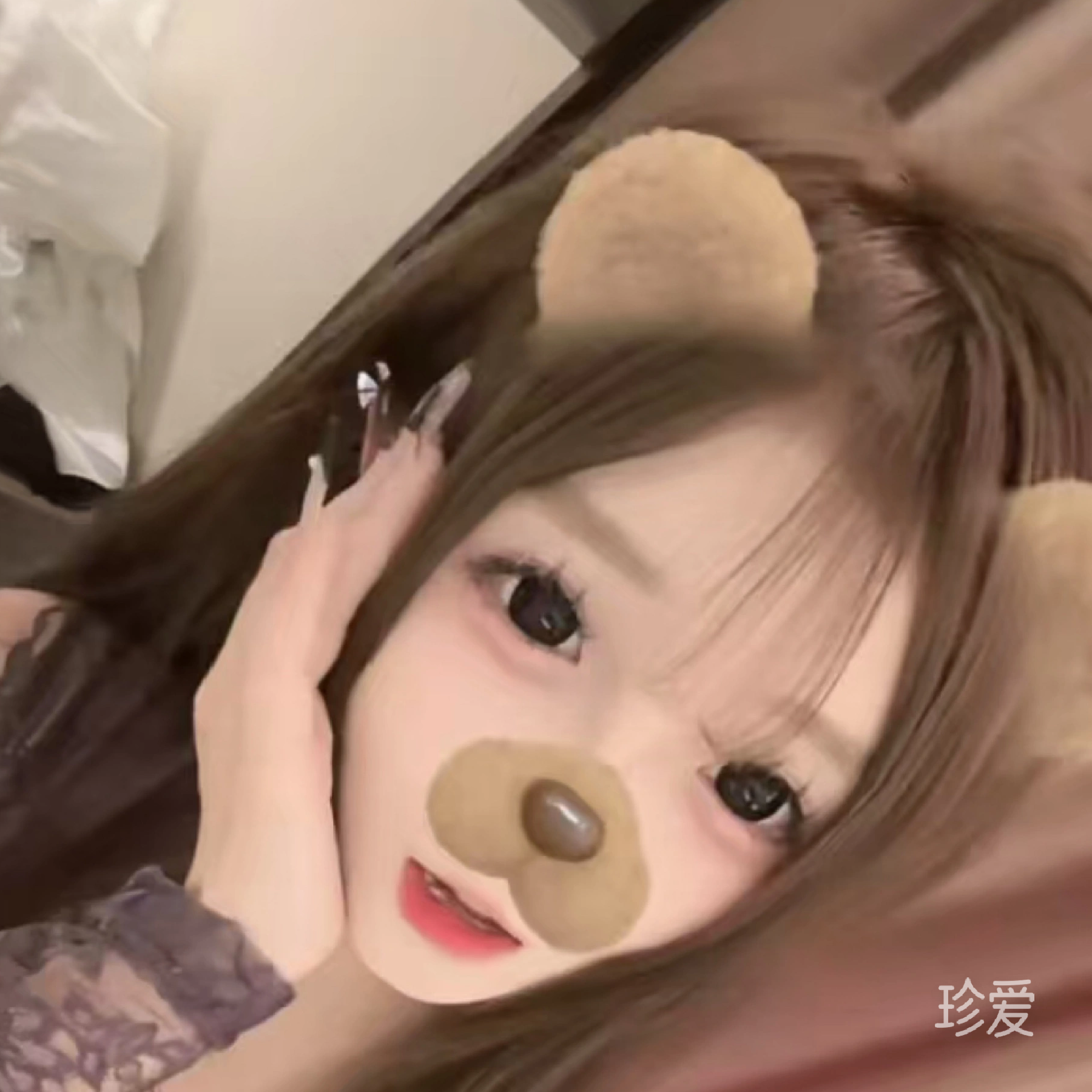 猫猫