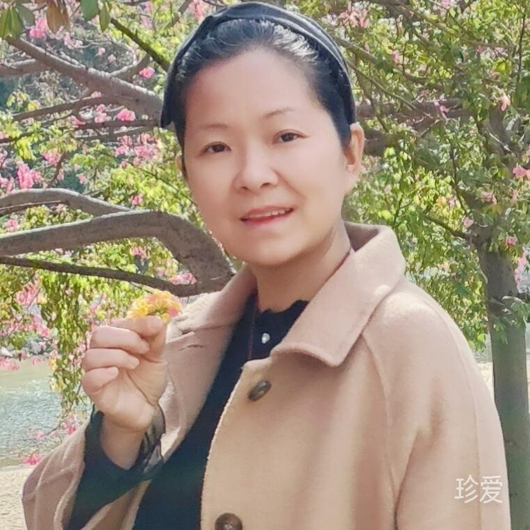 图兔子