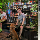 達(dá)不羅夫