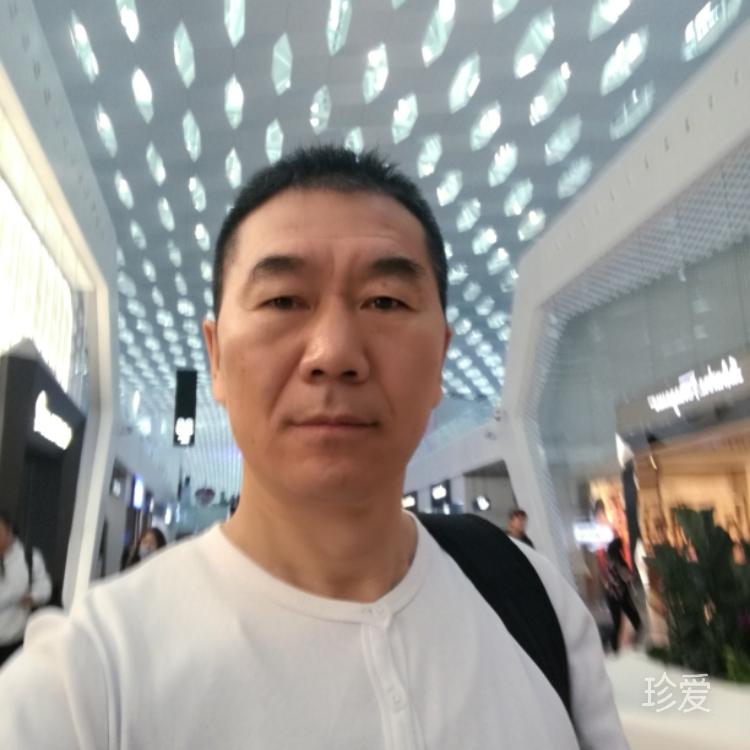 金阳之声
