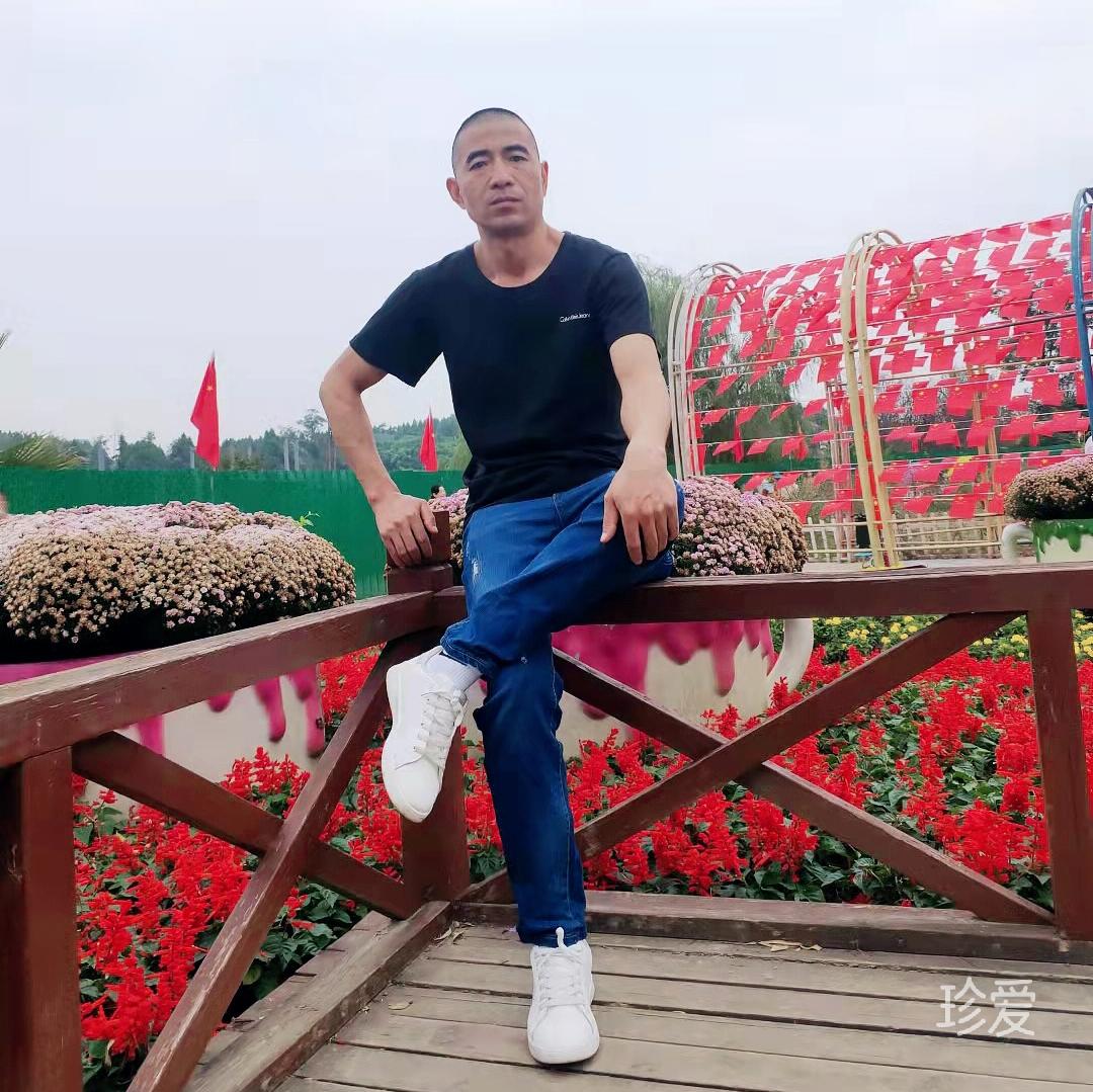 携手望月