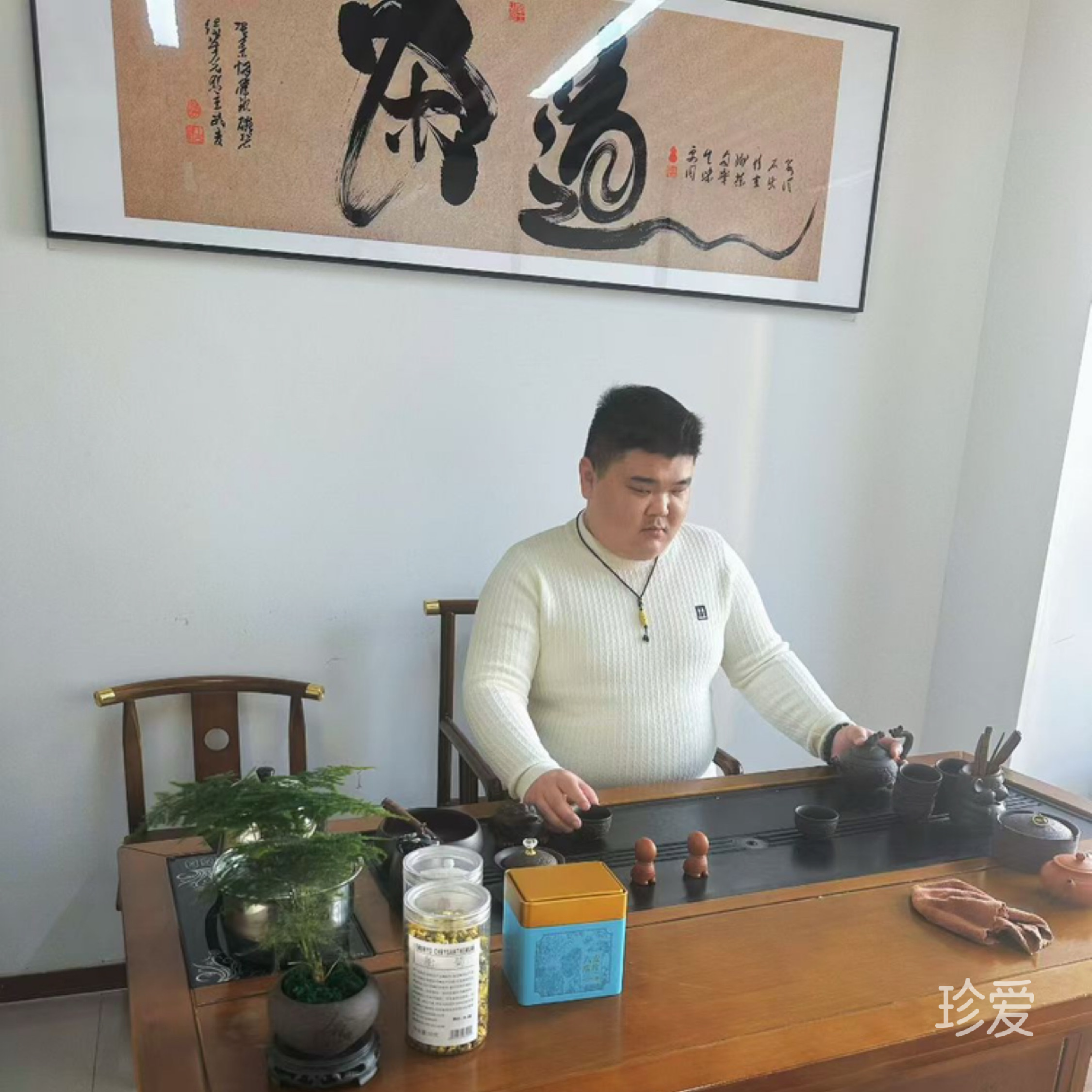 爱上鱼的猫