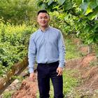 尋找那個(gè)她