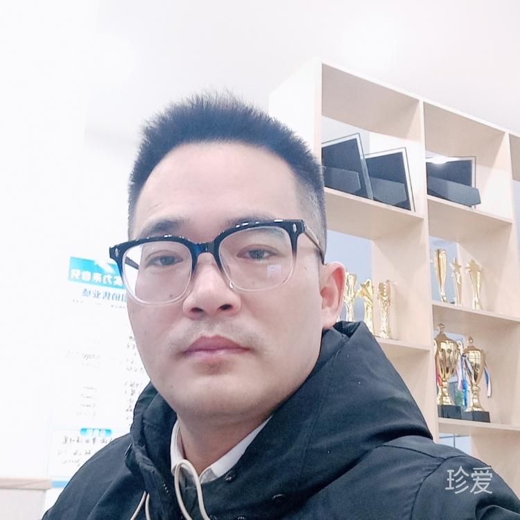 穿过树丛的阳光