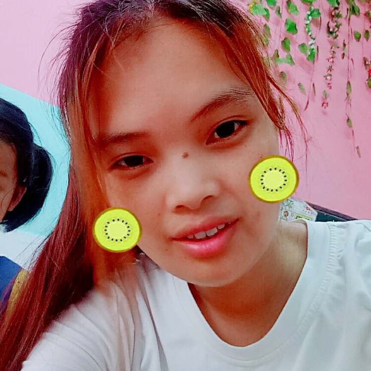 心累了到哪都是流浪