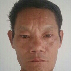 犁田的農(nóng)村人