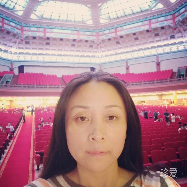 佛系喵喵