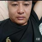 醉踏天下