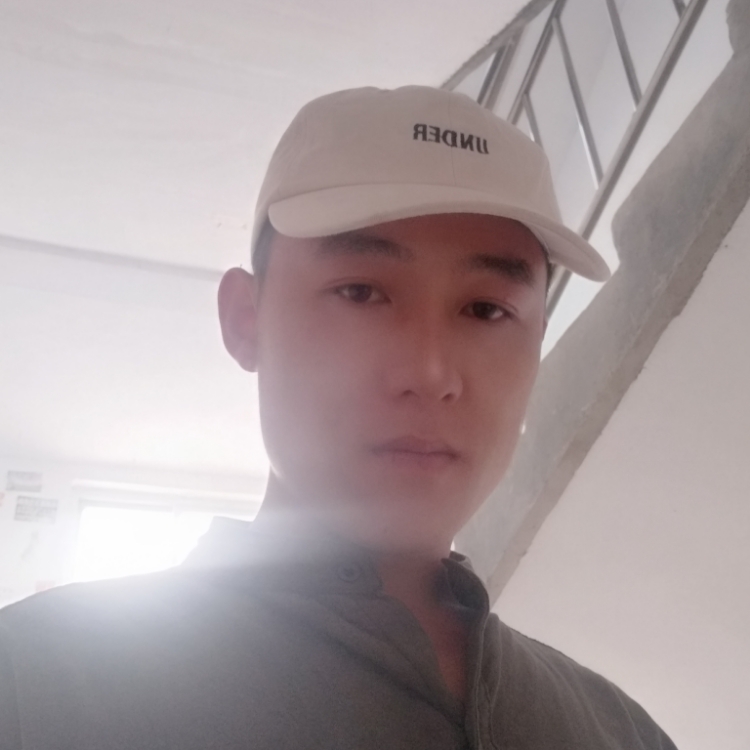 寻找最后的港湾