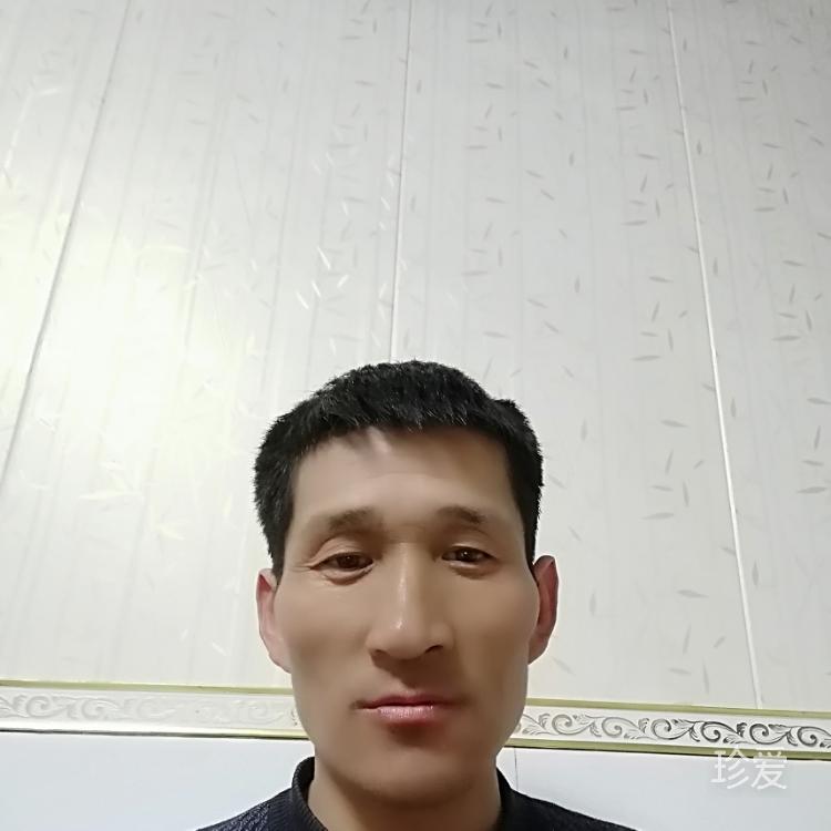 真心找朋友