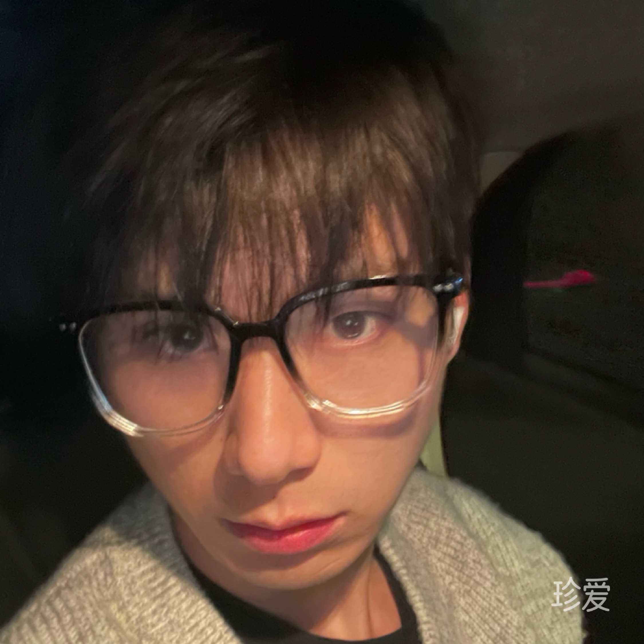 一只小龙虾