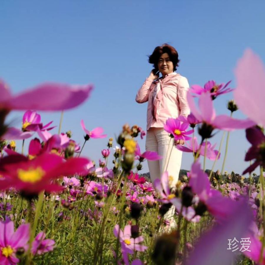 童梓