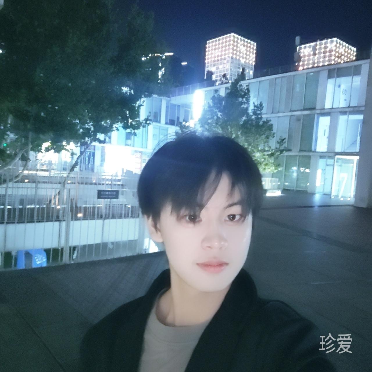 龙紫