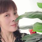 白白凈凈的海面