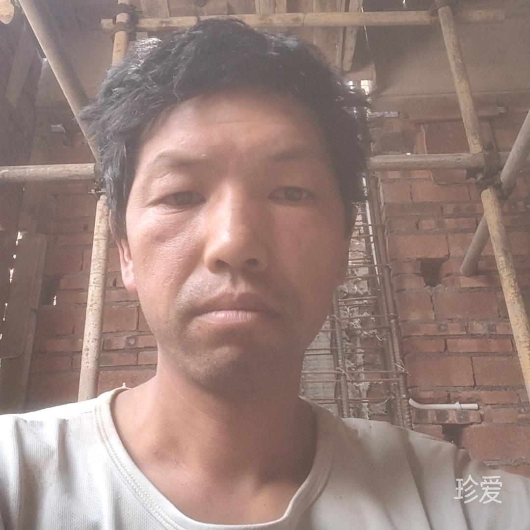 只为遇见你