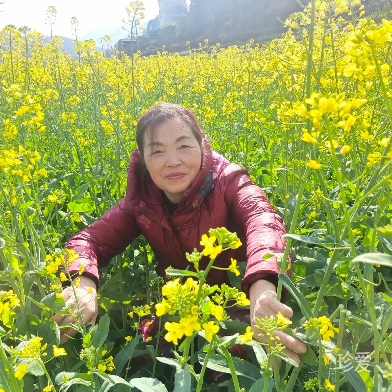 要有女王心沁蔓