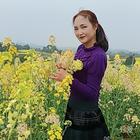 美好今天