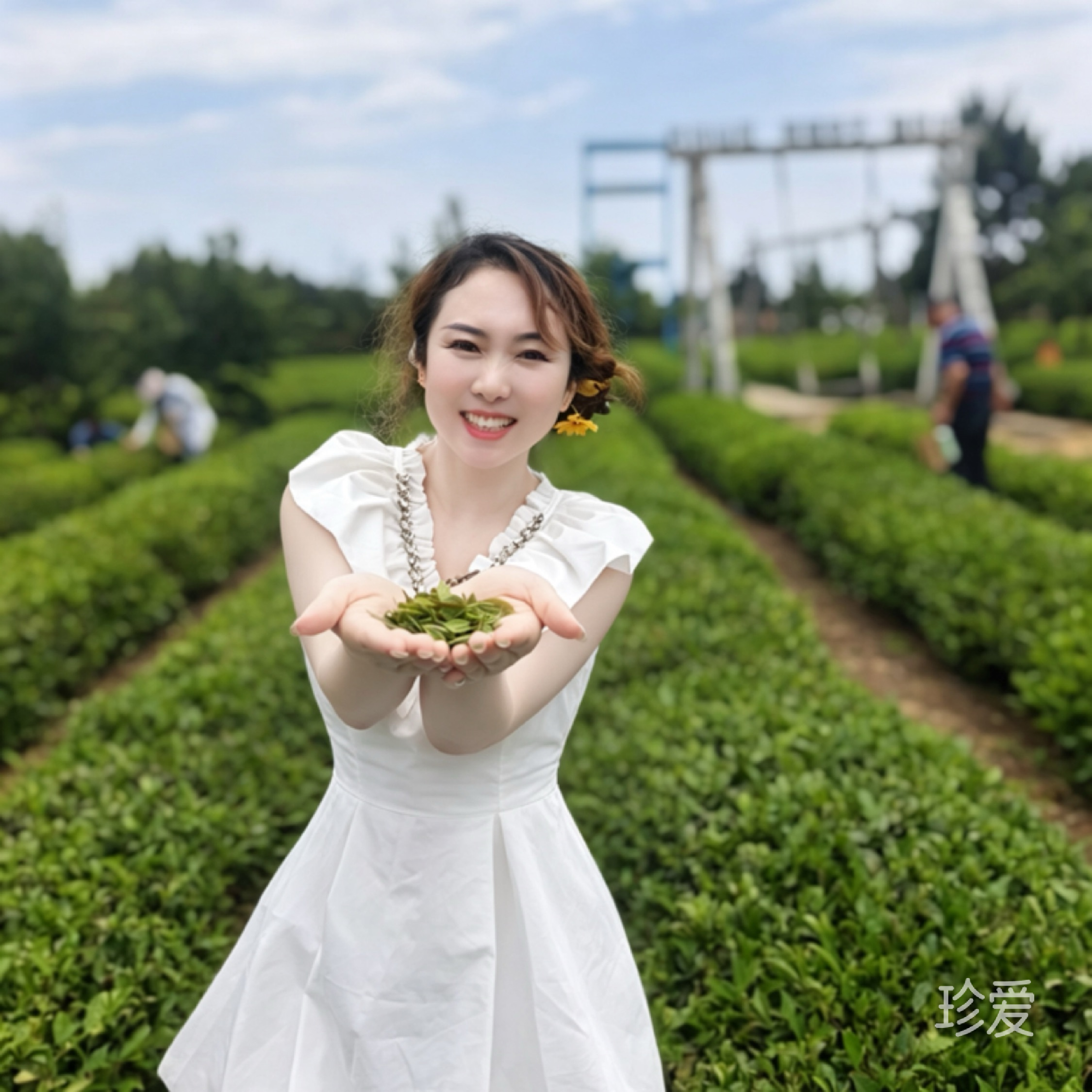 晴天的一朵云