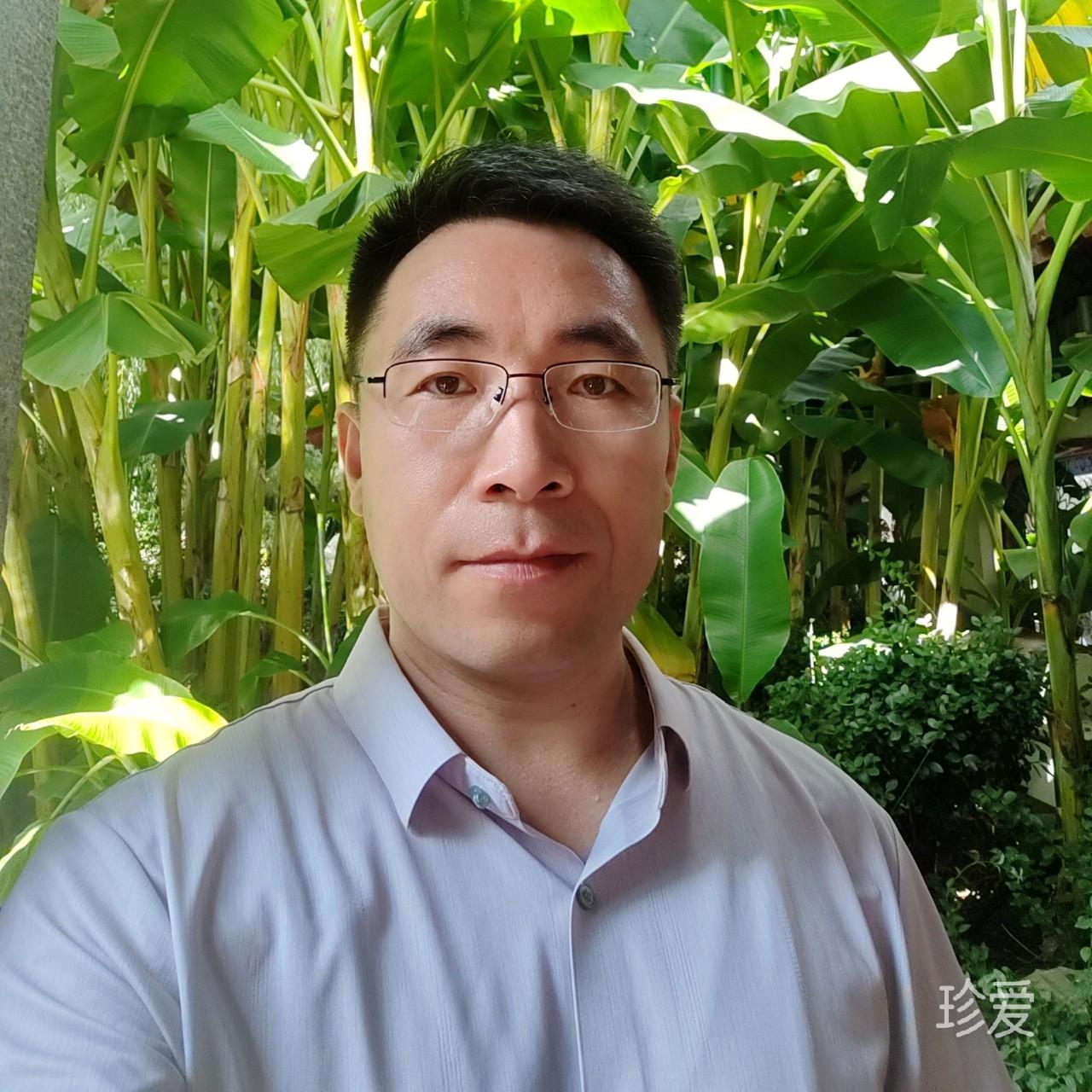 小蚂蚁
