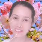 ananzi