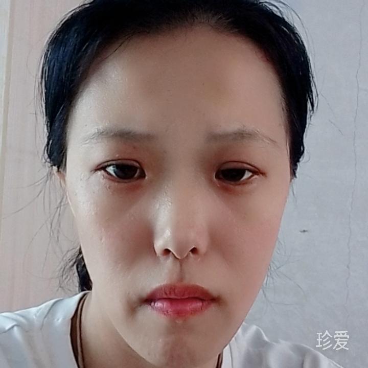 飛花如雨醉行人