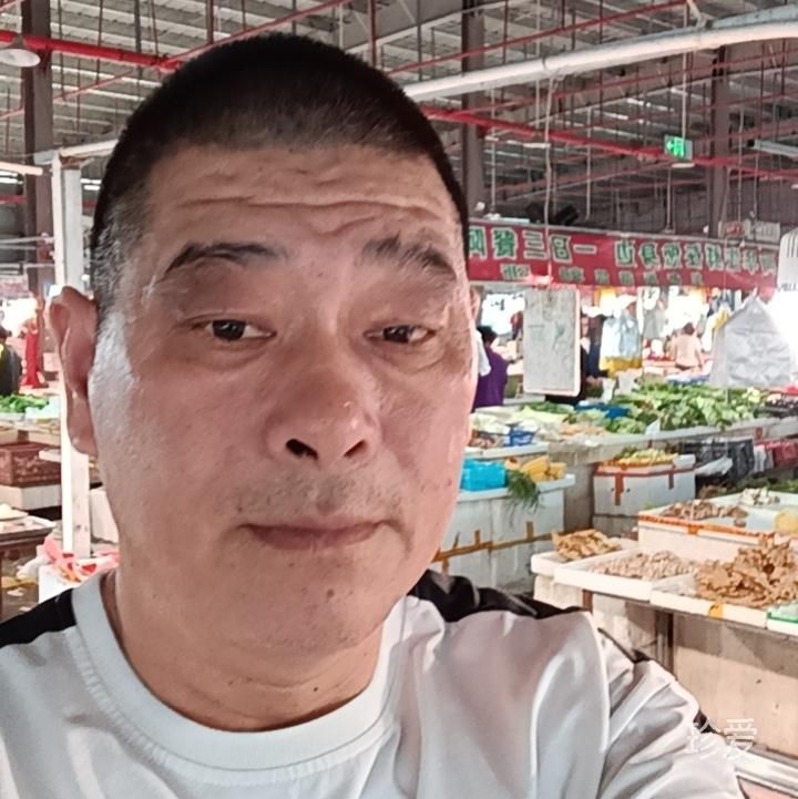 一片情