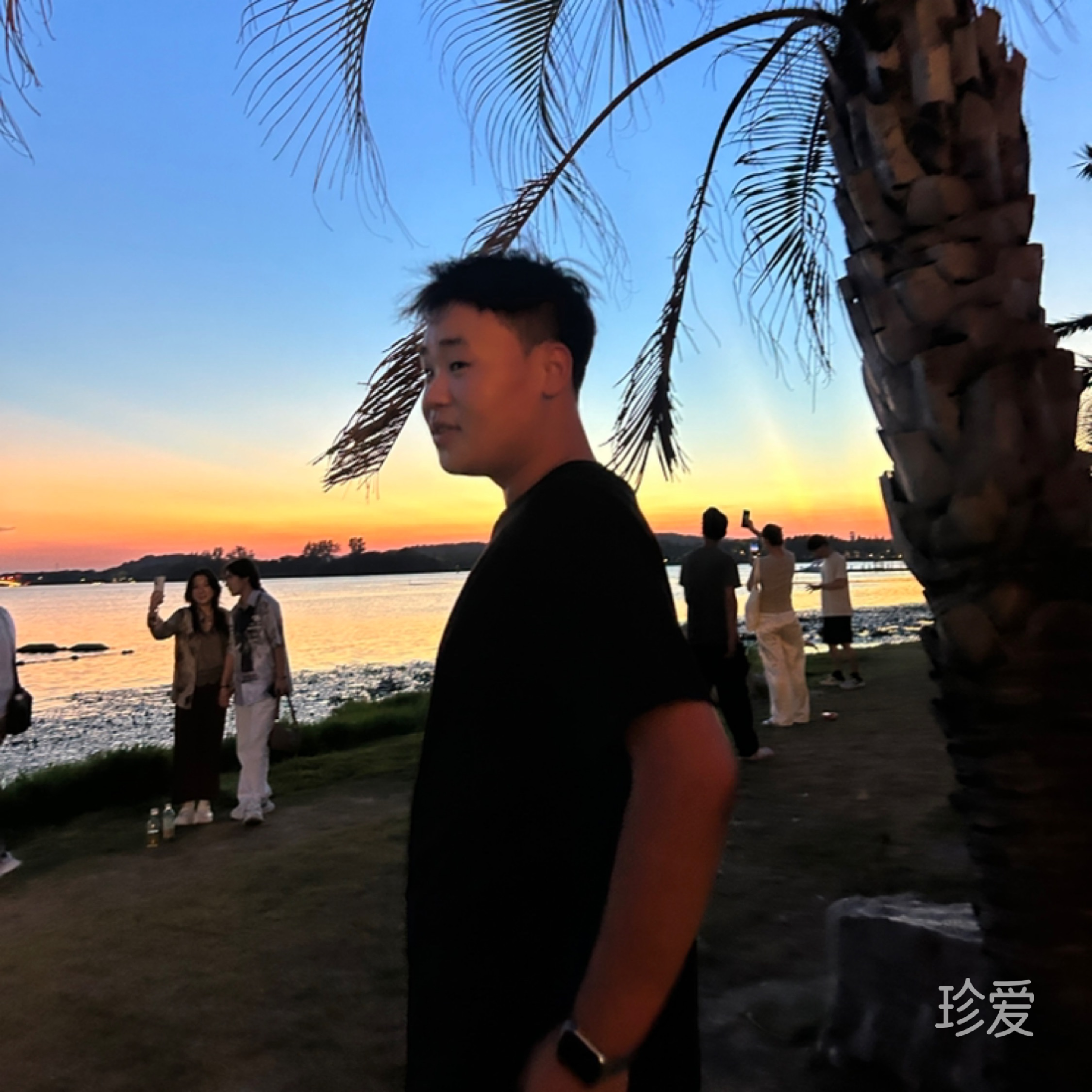 像風(fēng)一樣自由