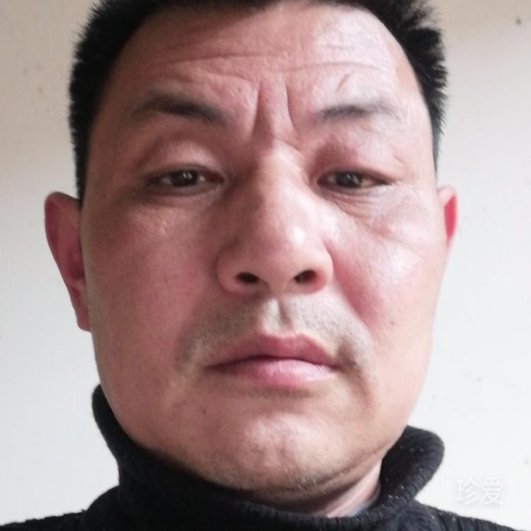 大漠沙棘